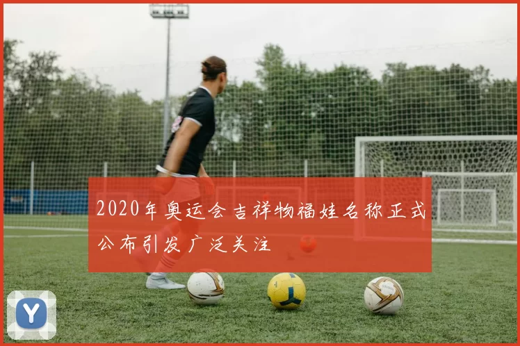 2020年奥运会吉祥物福娃名称正式公布引发广泛关注