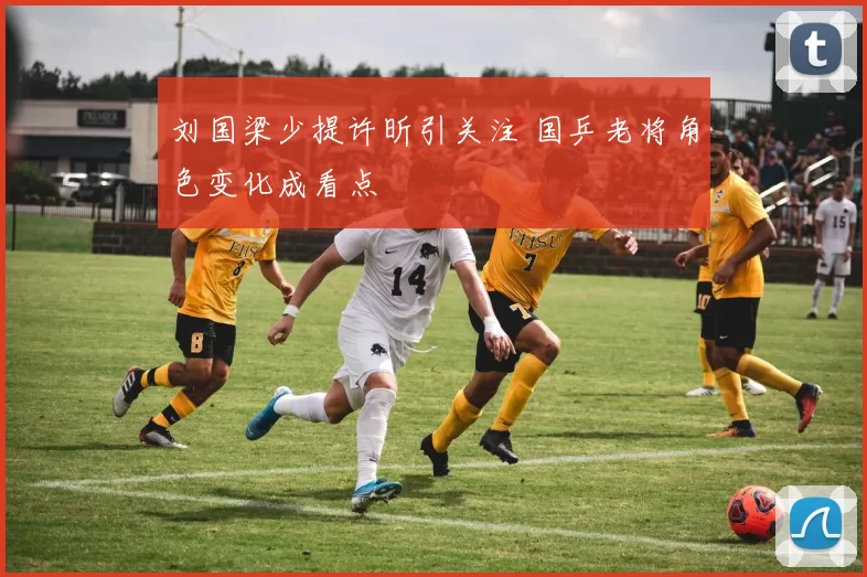 刘国梁少提许昕引关注 国乒老将角色变化成看点
