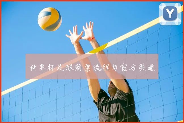 世界杯足球购票流程与官方渠道